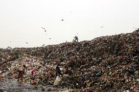 People Waste Pickers - Dhaka