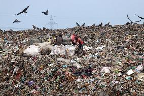 Waste Pickers In Dump Site - Dhaka