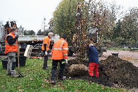 Canopee Plan 10,000 Trees Over Ten Years - Strasbourg