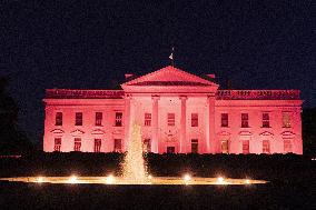 TheWhite House is illuminated in pink light in recognition of Breast Cancer Awareness Month