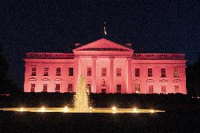 TheWhite House is illuminated in pink light in recognition of Breast Cancer Awareness Month