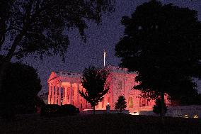 TheWhite House is illuminated in pink light in recognition of Breast Cancer Awareness Month