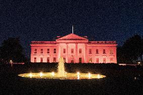 TheWhite House is illuminated in pink light in recognition of Breast Cancer Awareness Month