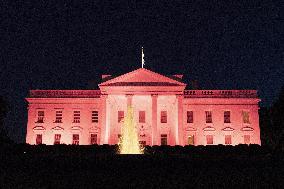 TheWhite House is illuminated in pink light in recognition of Breast Cancer Awareness Month