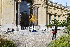 The Narcissus Theorem Exhibition at Petit Palais - Paris