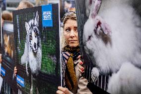 Fur for Animals and Animal Rights Protest - Netherlands