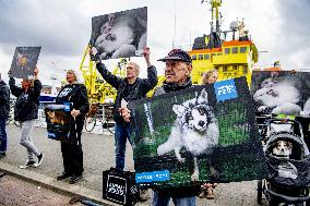 Fur for Animals and Animal Rights Protest - Netherlands