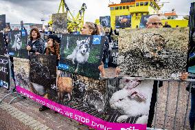 Fur for Animals and Animal Rights Protest - Netherlands