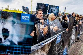 Fur for Animals and Animal Rights Protest - Netherlands