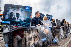 Fur for Animals and Animal Rights Protest - Netherlands