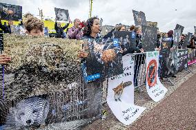 Fur for Animals and Animal Rights Protest - Netherlands