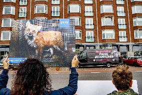 Fur for Animals and Animal Rights Protest - Netherlands