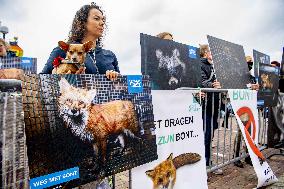 Fur for Animals and Animal Rights Protest - Netherlands