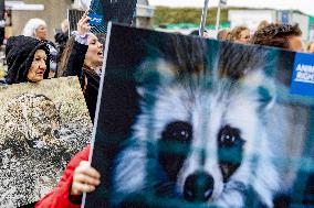 Fur for Animals and Animal Rights Protest - Netherlands