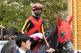 Prix Qatar Arc de Triomphe at Hippodrome de Longchamps - Paris