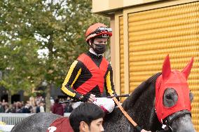 Prix Qatar Arc de Triomphe at Hippodrome de Longchamps - Paris