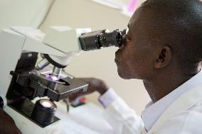 WHO Recommends Groundbreaking Malaria Vaccine