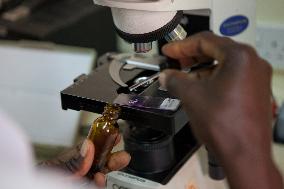 WHO Recommends Groundbreaking Malaria Vaccine