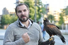 Falconers To Fight Against The Starling Nuisances - Strasbourg