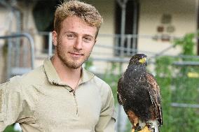 Falconers To Fight Against The Starling Nuisances - Strasbourg