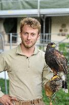 Falconers To Fight Against The Starling Nuisances - Strasbourg