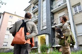 Falconers To Fight Against The Starling Nuisances - Strasbourg