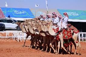 SAUDI ARABIA-RIYADH-CAMEL FESTIVAL