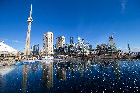 CANADA-TORONTO-EXTREME COLD WEATHER