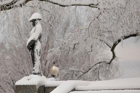 U.S.-WASHINGTON, D.C.-SNOWSTORM