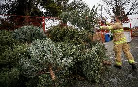 CANADA-RICHMOND-FIREFIGHTERS-CHRISTMAS TREE CHIPPING