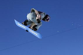 (SP) SWITZERLAND-LAAX-SNOWBOARD WORLD CUP-SLOPESTYLE FINAL