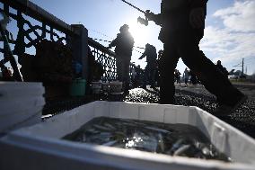 TURKEY-ISTANBUL-ANGLERS