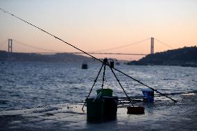 TURKEY-ISTANBUL-ANGLERS