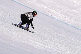 (SP)SWITZERLAND-LAAX-SNOWBOARD WORLD CUP-SLOPESTYLE SEMIFINAL