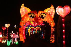 BELGIUM-ANTWERP-CHINA-LIGHT FESTIVAL