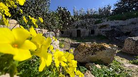 MALTA-SALINA-ANCIENT-CATACOMBS