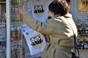 JAPAN-TOKYO-PANDA-CUB-DEBUT
