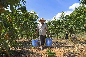 CHINA-GUANGXI-RURAL INDUSTRIES (CN)