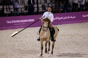 SAUDI ARABIA-RIYADH-HORSES FESTIVAL