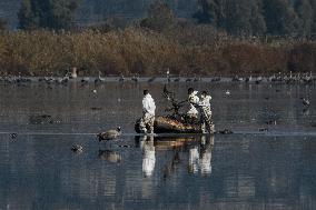 ISRAEL-HULA VALLEY-BIRD FLU