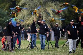 KUWAIT-HAWALLI GOVERNORATE-PARROT TRAINING