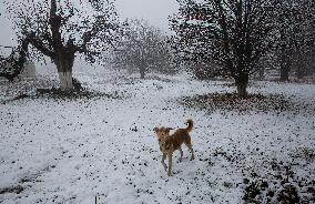 KASHMIR-SRINAGAR-SNOWFALL