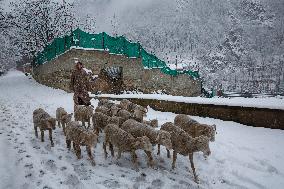 KASHMIR-SRINAGAR-SNOWFALL