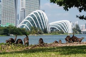 SINGAPORE-SMOOTH-COATED OTTERS