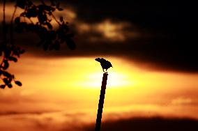 MYANMAR-YANGON-SUNRISE