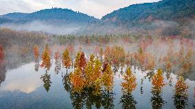 XINHUA-PICTURES OF THE YEAR 2021-CHINA NEWS