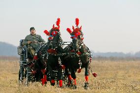 ROMANIA-BUCHAREST-EPIPHANY DAY-RURAL HORSE RACE