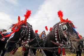 ROMANIA-BUCHAREST-EPIPHANY DAY-RURAL HORSE RACE