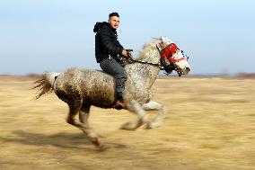 ROMANIA-BUCHAREST-EPIPHANY DAY-RURAL HORSE RACE