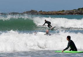 NEW ZEALAND-WELLINGTON-SUMMER-SURFING